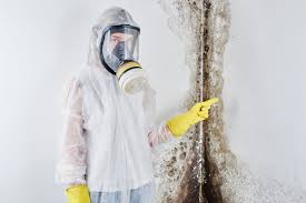 Why You Should Choose Our Mold Remediation Services in Dixon, IL